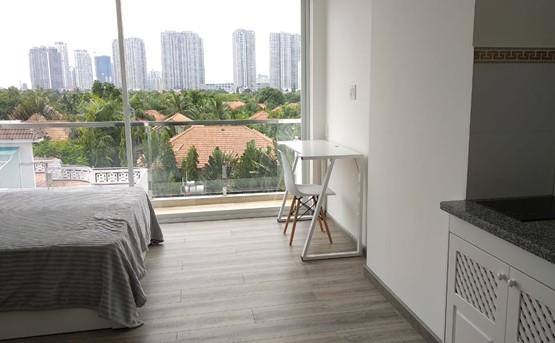 Serviced apartment for rent in district 2 D299314 Trang (4)